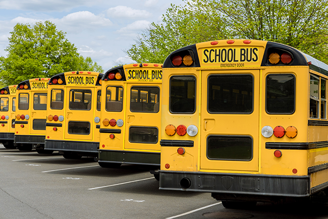bus